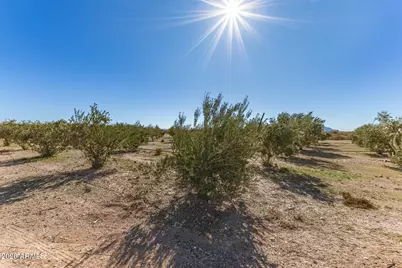 1081 W Dana Avenue, Florence, AZ 85132 - Photo 35