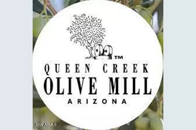 369 W Glacier Bay Drive, San Tan Valley, AZ 85140 - Photo 39