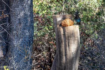 52162 E Black Jack Road, Miami, AZ 85539 - Photo 31