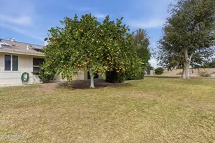 10212 W Pineridge Dr, Sun City, AZ 85351 - Photo 33