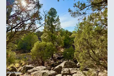1838 Rocky Bottom Place #-, Show Low, AZ 85901 - Photo 1
