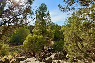 1838 Rocky Bottom Pl, Show Low, AZ 85901 - Photo 1