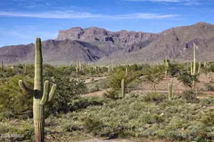 10558 E Cloudview Ave, Gold Canyon, AZ 85118 - Photo 5