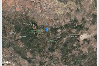 50 N2276 -- #25, Nutrioso, AZ 85932 - Photo 5