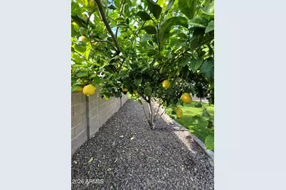 6563 E Northridge Street, Mesa, AZ 85215 - Photo 15