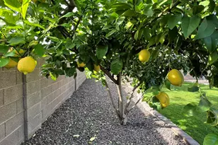 6563 E Northridge St, Mesa, AZ 85215 - Photo 15