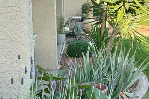 9808 W Kerry Ln, Peoria, AZ 85382 - Photo 17