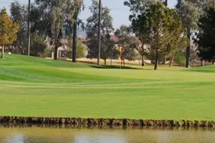 9631 E Lobo Ave, Mesa, AZ 85209 - Photo 53