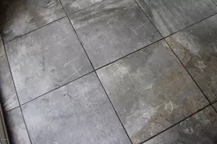 1513 E Mobile Ln, Phoenix, AZ 85040 - Photo 35