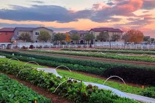 3541 E Shannon St, Gilbert, AZ 85295 - Photo 63