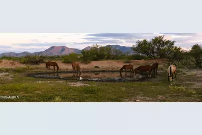 Tbd E Walker Ranch Road #'-', Benson, AZ 85602 - Photo 7