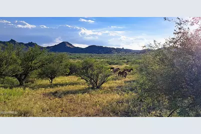 Tbd E Walker Ranch Road #'-', Benson, AZ 85602 - Photo 13