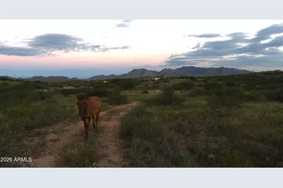 Tbd E Walker Ranch Road #'-', Benson, AZ 85602 - Photo 17