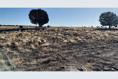 14 Tuscan Road #-, Ash Fork, AZ 86320 - Photo 13