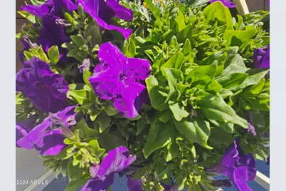 650 N Hawes Road #3202, Mesa, AZ 85207 - Photo 29