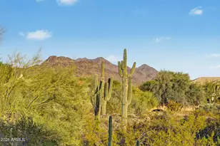 23209 N 90th Way, Scottsdale, AZ 85255 - Photo 51
