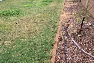 3901 W Kings Ave, Phoenix, AZ 85053 - Photo 13