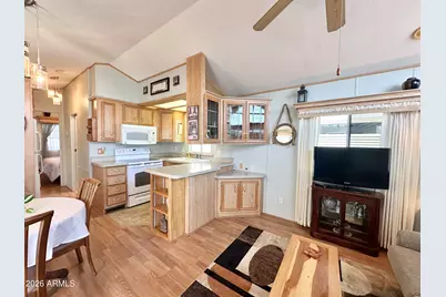 916 S Mineshaft Drive, Apache Junction, AZ 85119 - Photo 9