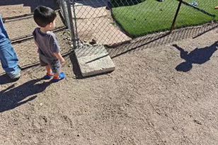 2417 W Roughrider Rd, New River, AZ 85087 - Photo 41