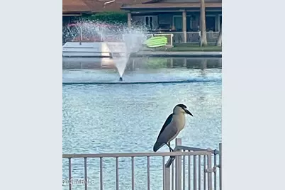 14007 N Whispering Lake Drive, Sun City, AZ 85351 - Photo 43