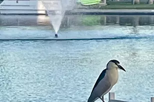 14007 N Whispering Lake Dr, Sun City, AZ 85351 - Photo 43