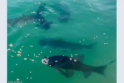 14007 N Whispering Lake Drive, Sun City, AZ 85351 - Photo 47