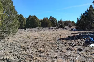 8850 Happy Trail, Show Low, AZ 85901 - Photo 29