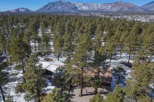 7950 Koch Field Rd, Flagstaff, AZ 86004 - Photo 49