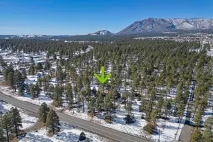 7950 Koch Field Rd, Flagstaff, AZ 86004 - Photo 57