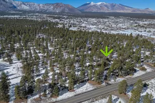 7950 Koch Field Rd, Flagstaff, AZ 86004 - Photo 59