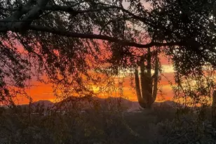 25206 W Rockaway Hills Dr, Morristown, AZ 85342 - Photo 51