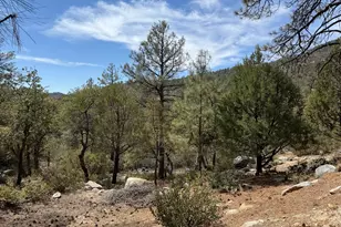 22761 S Eagle Mine Rd, Crown King, AZ 86343 - Photo 33