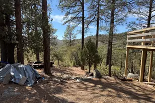 22761 S Eagle Mine Rd, Crown King, AZ 86343 - Photo 29