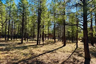 826 Jacks Canyon Dr, Happy Jack, AZ 86024 - Photo 5