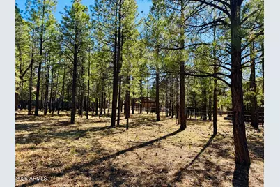 826 Jacks Canyon Drive, Happy Jack, AZ 86024 - Photo 21