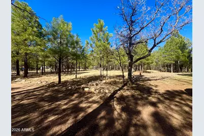 826 Jacks Canyon Drive, Happy Jack, AZ 86024 - Photo 1