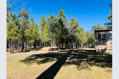 826 Jacks Canyon Drive, Happy Jack, AZ 86024 - Photo 17