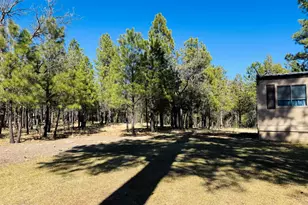 826 Jacks Canyon Dr, Happy Jack, AZ 86024 - Photo 17