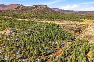 9 Co Rd 2269, Nutrioso, AZ 85932 - Photo 37