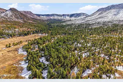 9 County Road 2269 --, Nutrioso, AZ 85932 - Photo 39