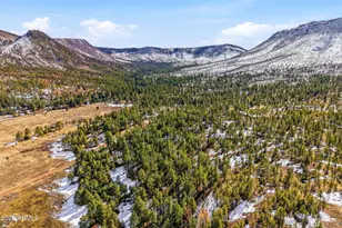 9 Co Rd 2269, Nutrioso, AZ 85932 - Photo 39