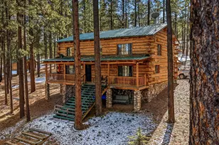 9 Co Rd 2269, Nutrioso, AZ 85932 - Photo 7