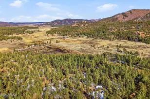 9 Co Rd 2269, Nutrioso, AZ 85932 - Photo 41