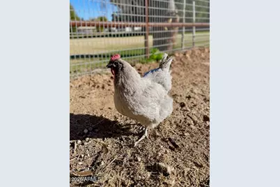 19103 E Via De Arboles --, Queen Creek, AZ 85142 - Photo 33