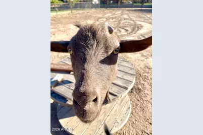 19103 E Via De Arboles --, Queen Creek, AZ 85142 - Photo 37