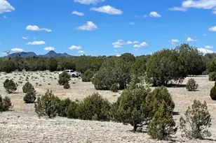 768 High Tank Rd, Williams, AZ 86046 - Photo 1