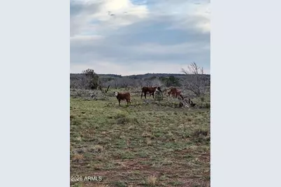 3904 S Santa Clara Road, Williams, AZ 86046 - Photo 3