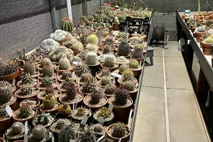 31221 N 61st St, Cave Creek, AZ 85331 - Photo 53