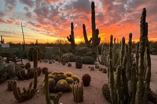 31221 N 61st St, Cave Creek, AZ 85331 - Photo 55
