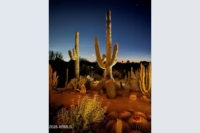 31221 N 61st Street, Cave Creek, AZ 85331 - Photo 3